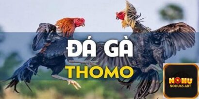 Đá Gà Thomo