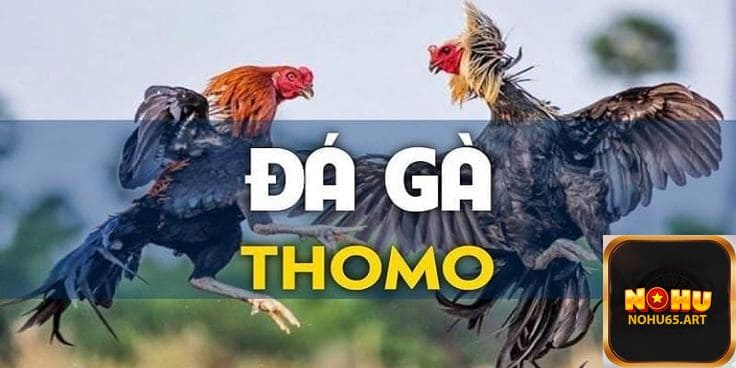 Đá Gà Thomo